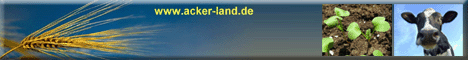 Zum Anbieter >>