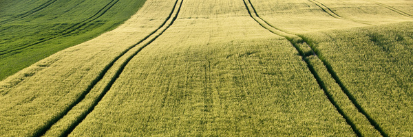 agrarland