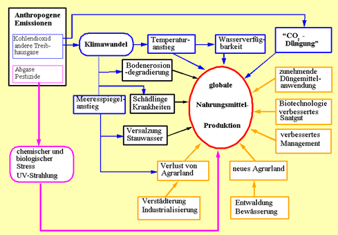 globale Nahrungsmittelprodukte - Schematische Darstellung